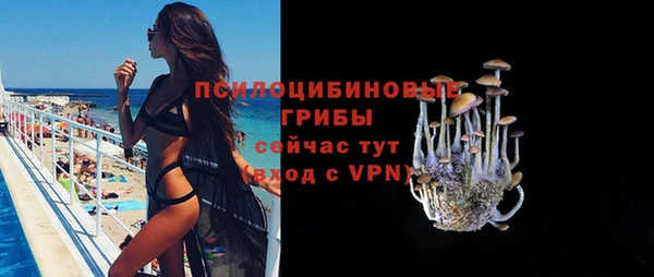 мескалин Ладушкин