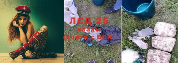 трава Лабытнанги