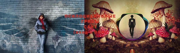 мескалин Ладушкин