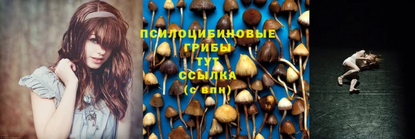 СК Кулебаки