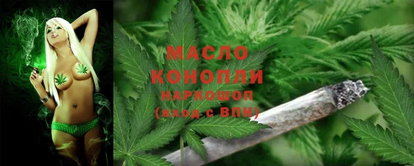 трава Лабытнанги