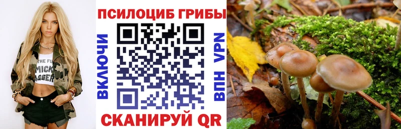 Псилоцибиновые грибы мухоморы  Купить закладки  Лукоянов 